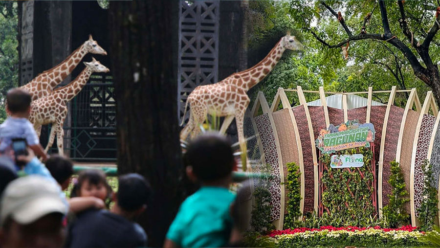 Ragunan Alternatif Berlibur Bersama Keluarga (Dok. Taman Margasatwa Ragunan)